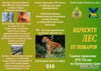​Администрация Владивостока напоминает о введении особого противопожарного периода в лесных массивах