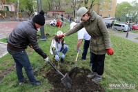 ​Владивосток присоединится к всемирному субботнику