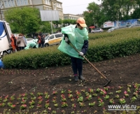 ​Специалисты продолжают обновлять клумбы и зеленые зоны во Владивостоке