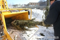 ​Более 12 тонн новогодних елок будут переработаны в тепло и горячую воду