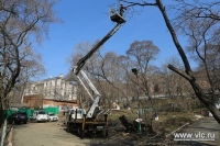 ​Работы по уходу за зелеными насаждениями активно ведутся во Владивостоке