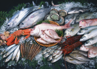 Более полутонны просроченной рыбы и морепродуктов не попало на прилавки
