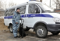 Во Владивостоке полицейская собака по кличке Нельсон помогла раскрыть наркопреступление