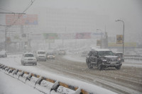 Снег не нарушил жизнедеятельность Владивостока
