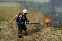 Несколько десятков возгораний зафиксированы на территории Приморья