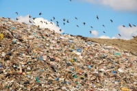Более 300 КамАЗов мусора вывезли с несанкционированных свалок Владивостока