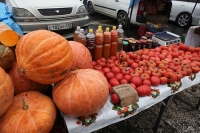 15 и 16 сентября на центральной площади Владивостока развернётся продовольственная ярмарка