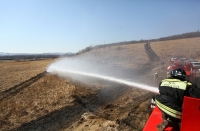 Более 100 единиц техники задействовано в тушении лесных пожаров в Приморье