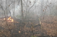Еще два района  Приморья  попали в ЧС из-за  природных пожаров