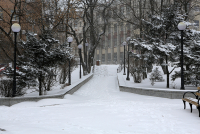 В администрации Владивостока решено усилить взаимодействие всех служб во время снегопада