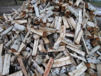 Проблему заготовки дров решают в Приморье