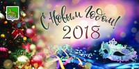 Поздравление главы  Владивостока с Новым  2018  годом