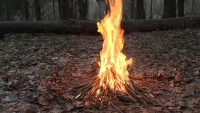 Владивостокцам напоминают о недопущении сжигания сухой травы и листвы