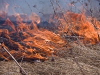 Жителей Владивостока предупреждают, что разводить костры опасно, а жечь траву запрещено