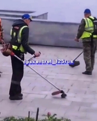 Администрация Владивостока  объяснила действия рабочих с газонокосилками