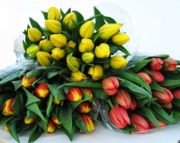 Во Владивостоке объявлены аукционы на торговлю цветами