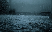 В Приморье пройдут интенсивные дожди
