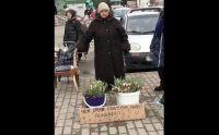 Бабушка, продающая цветы, признана лучшим маркетологом Приморья