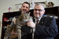 Знаменитый толстый кот пришёл в Генконсульство США во Владивостоке (фото)