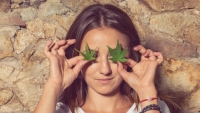 Приморский нарколог: «Девушки под марихуаной не считают половых партнеров»