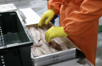 Определены сроки строительства рыбного рынка в Приморье