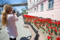 Городские клумбы весной украсят 80 тысяч тюльпанов и геацинтов