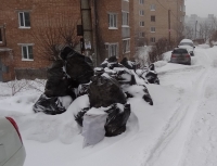Владивосток обрастает бытовым мусором
