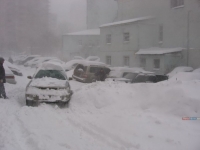 ​Дорожные службы Владивостока и их техника справляются с последствиями снегопада