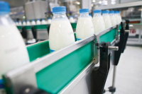 Молочную продукцию в Приморье будут производить местные фермы