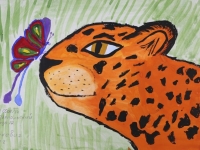 Конкурс рисунков о леопарде стартовал на Дальнем Востоке России