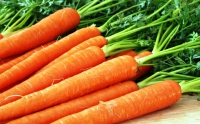 Морковь по 2,5 тыс. рублей за килограмм появилась в магазинах Владивостока