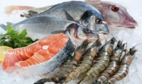 Экспорт Приморской рыбы в Азию продолжается