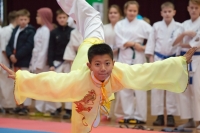 Владивостокские спортсмены стали лучшими на  международном турнире по джиу-джитсу «Harbin open 2014»