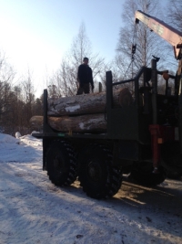Совладельца и работников лесокомбината обвинили в краже собственного леса
