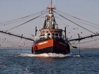 Одна из крупнейших американских рыболовецких компаний может стать банкротом