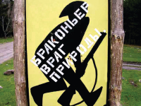 Сибирскую косулю, застреленную в Приморье, оценили в 60 тысяч рублей