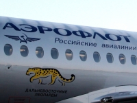 Первый «летающий» дальневосточный леопард украсил самолет «Аэрофлота»