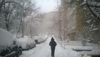 Снегопад во Владивостоке: жители города ждут повторения сюжета фильма 