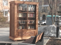 Книжный шкаф вернули на место во Владивостоке