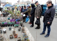 Владивостокцы смогут приобрести куличи и пасхальные яйца на ярмарке