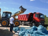 Тонны  мусора собирают сотрудники СГТ во Владивостоке