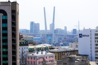 В День тигра в центре Владивостока ограничат движение транспорта