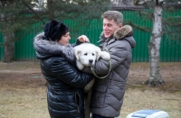 Олег Кожемяко выбрал новых хозяев для двух щенков