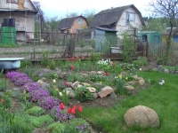 Лучших садоводов и огородников выберут на общегородском конкурсе