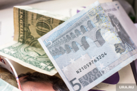 Евро обновил рекорд 2014 года