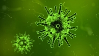 Сингапурский профессор предрек появление нового коронавируса